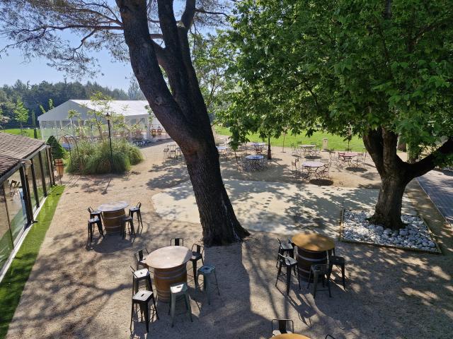 L'Oasis du Saule - 4