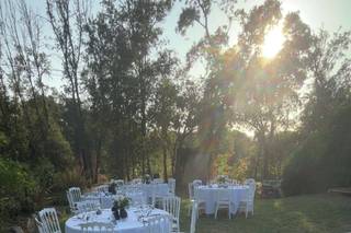 Event's by Steph - 10