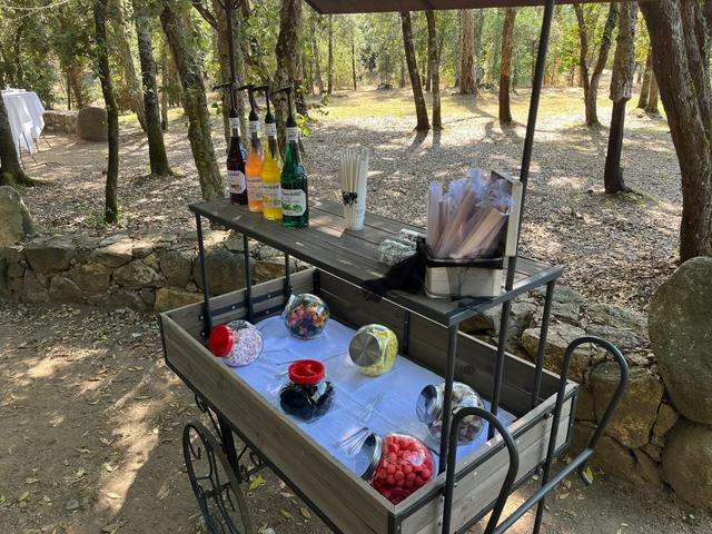 Event's by Steph - 4