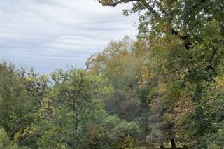 Château la Hitte - 9