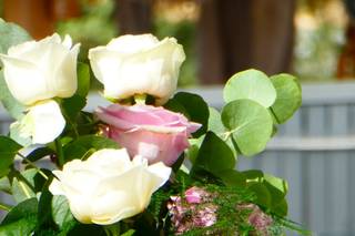 Bloomy Mademoiselle - 23