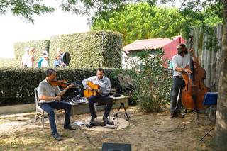 Baraka Swing - 9
