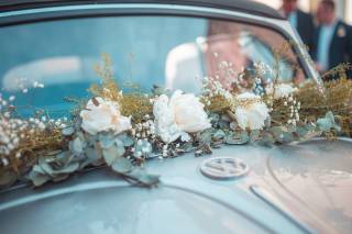 Vincent Photographie - 10