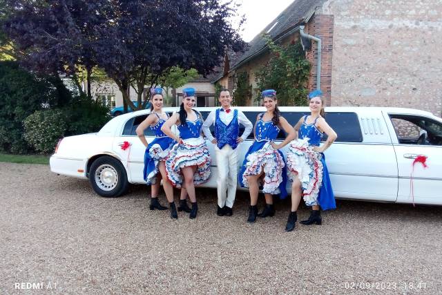 Escort Driver Prestige 2