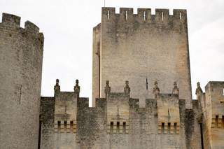 Chateau de Roquetaillade - 13