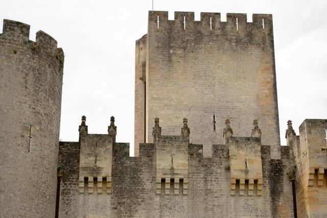 Chateau de Roquetaillade 3