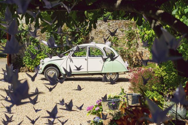 Diabolo - 2cv 3