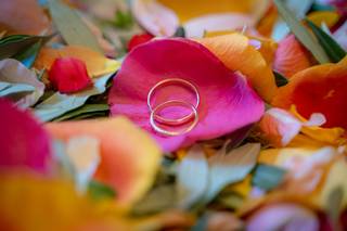 Nicolas Allier Photographie - 8