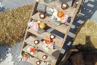 Sylvanne Ferme Florale - 10