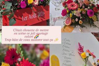 L'Agence du Clair de Lune - 8