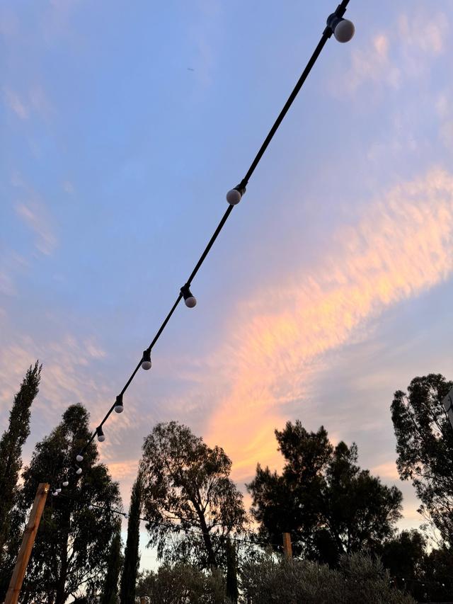 Finca del Sol - 1