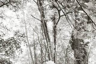 Martine Elise Photo - 7