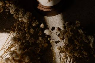 Jordan Camacho Photographe - 9