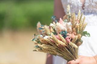 Le curieux photographe - 6