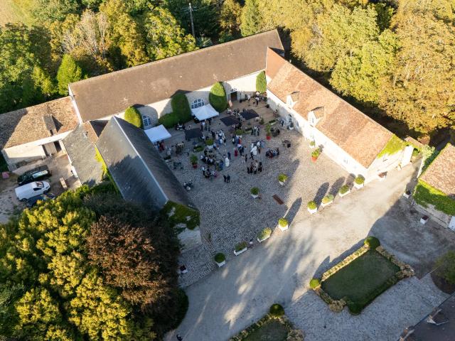Colombe Photographie - 1