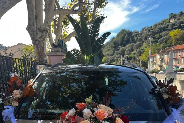 La Rose 1