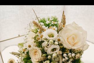Magali B Photographies - 7