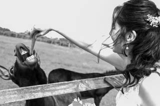 Emilie Champeyroux Photographies - 7