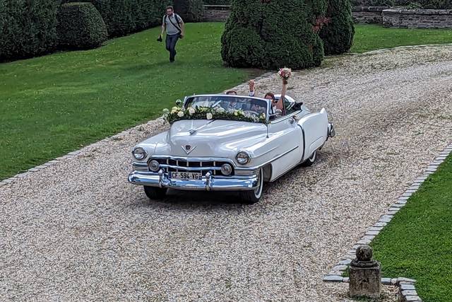 Vintage Cars 3