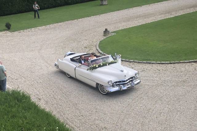 Vintage Cars 4