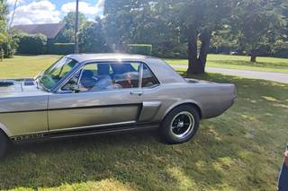 Mustang 66 - 17