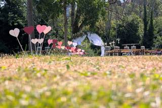 N°13 Fleuriste - 21