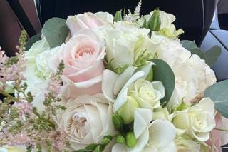 Lili Events - 6