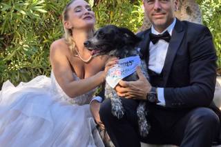 Loyal And Lovely - Wedding Dog Concierge - 5