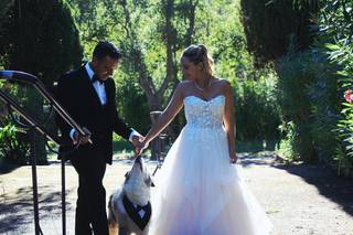Loyal And Lovely - Wedding Dog Concierge - 6