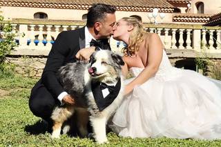 Loyal And Lovely - Wedding Dog Concierge - 7