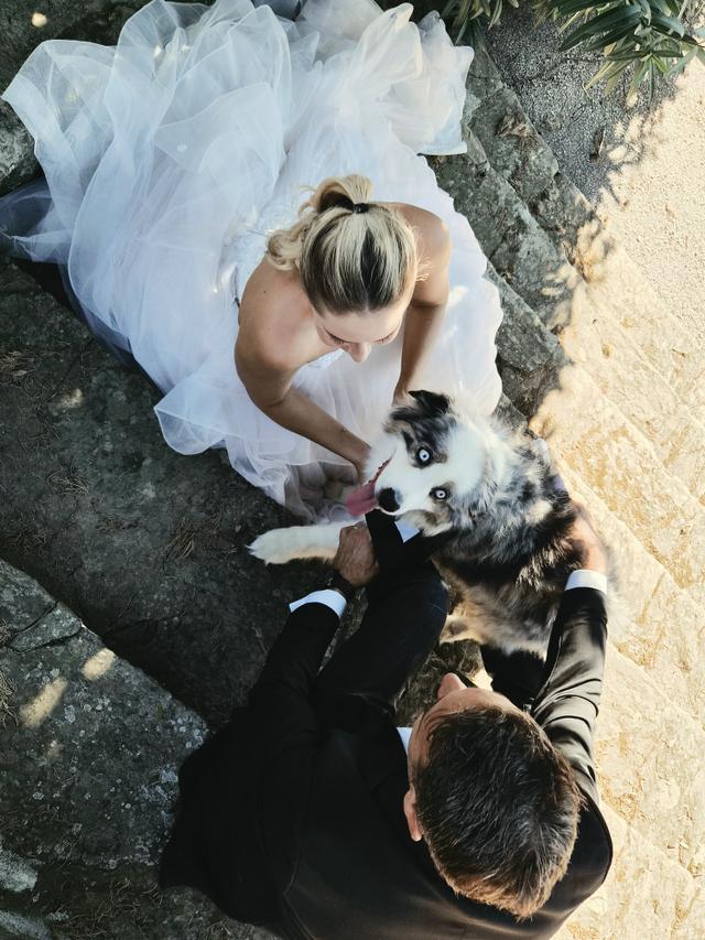 Loyal And Lovely - Wedding Dog Concierge - 3
