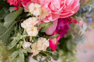 Terriennes - 6