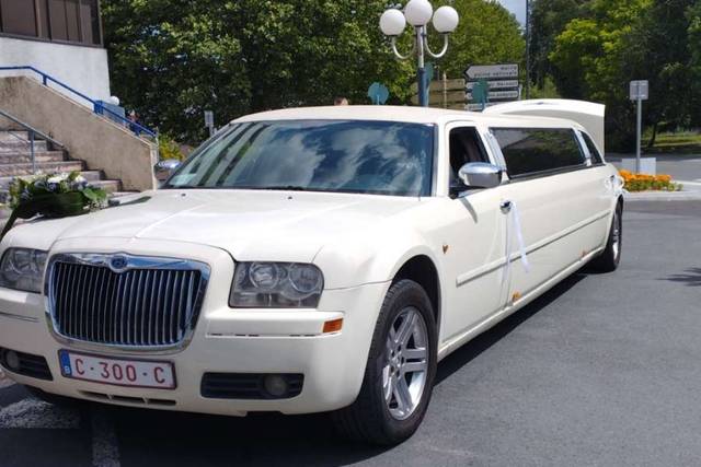 ML Luxury Cars 1