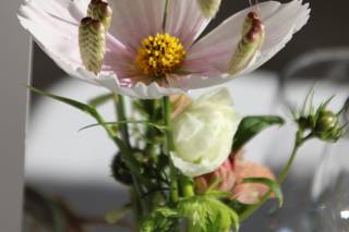 L'Aurette Ferme Florale - 18