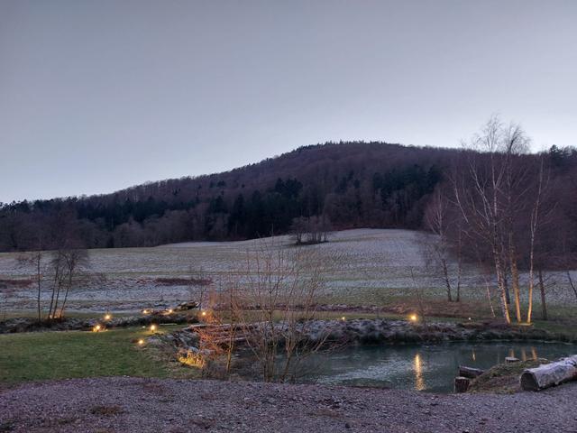 L'Orangerie du Manoir - 1