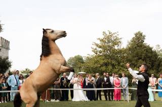 Ratner Katerina - Horse Events - 6