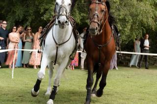 Ratner Katerina - Horse Events - 7