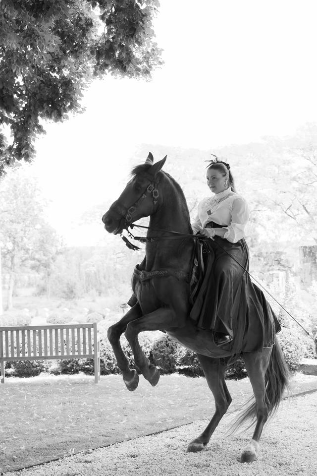 Ratner Katerina - Horse Events - 4