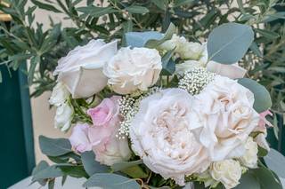 Fleurs de Lion - 5