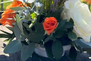 Daylight Flower - 5