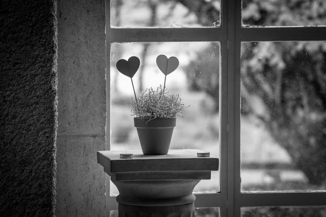 L&J Studio Photographie 5