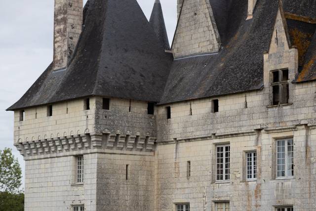 Château de L'Isle Savary 5