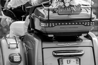 Fabrice Fabiani Photographe - 8