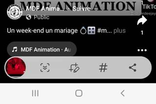 MDF Animation - 8