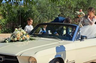 Mariages en Mustang - 13