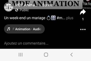 MDF Animation - 10