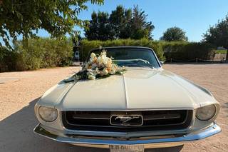 Mariages en Mustang - 15