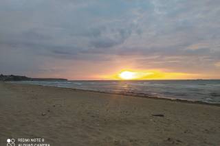 Love Car by Domaine de Cussy - 16