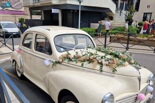 Allons voir si la rose - 20