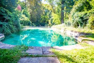 Jardins de Bougainville - 19